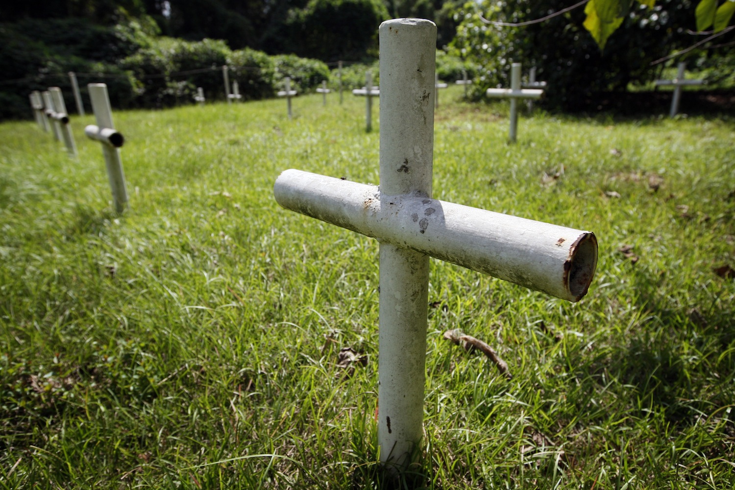 Graves